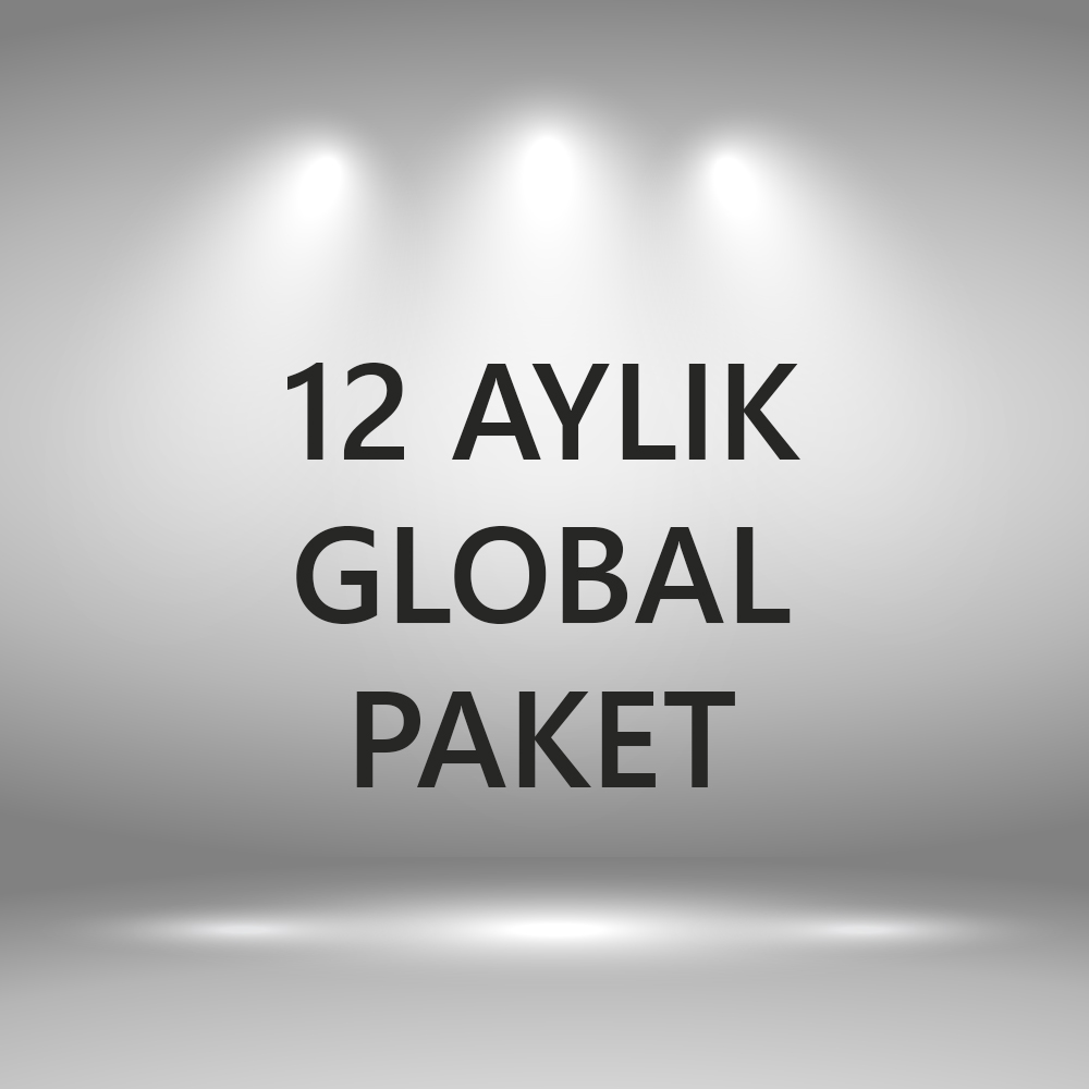 12 Aylık