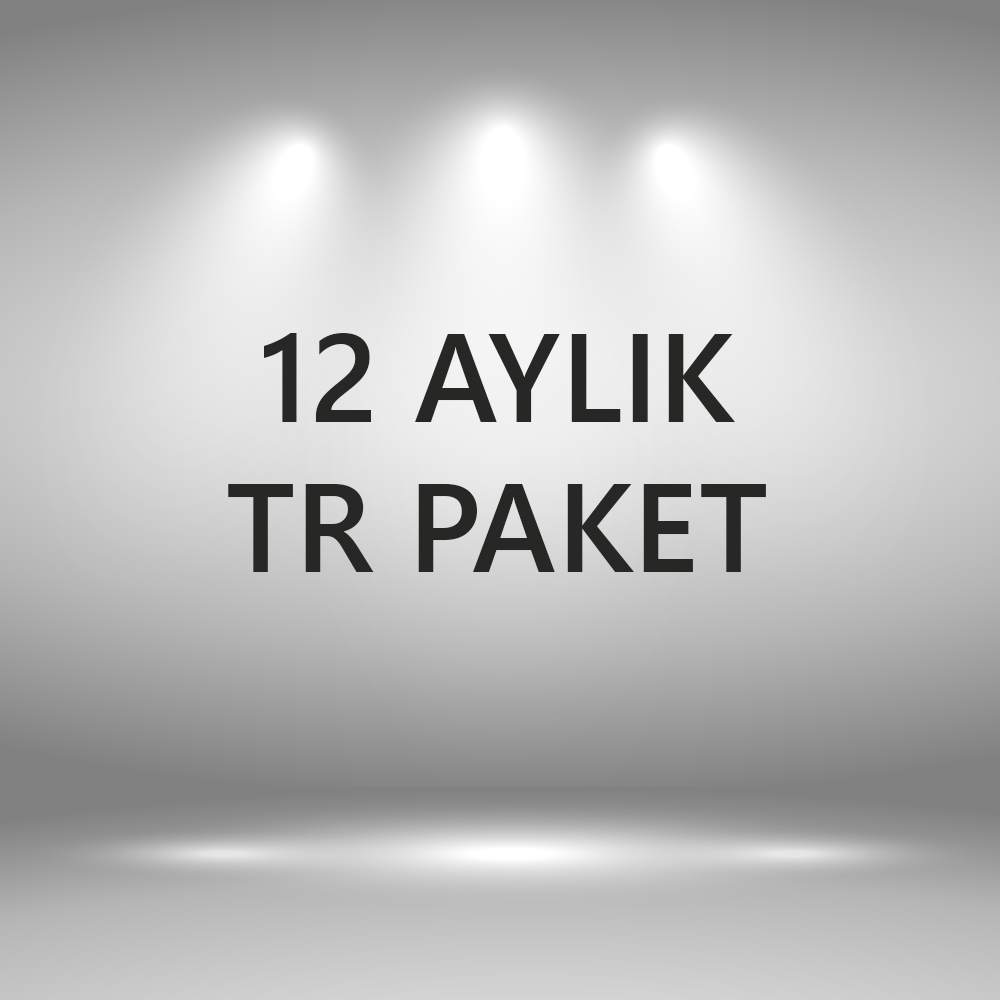 12 Aylık