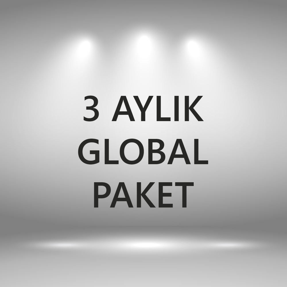 3 Aylık