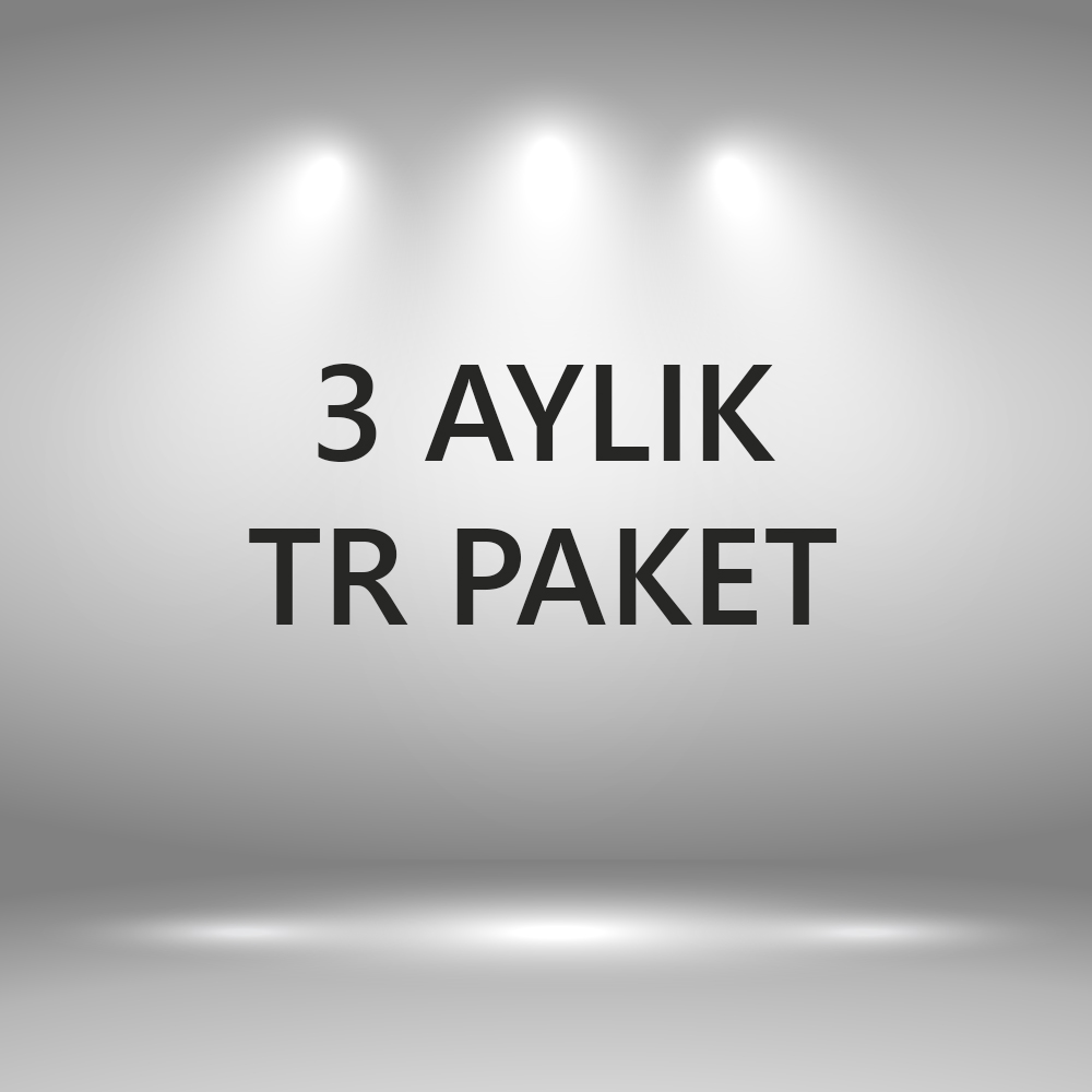 3 Aylık