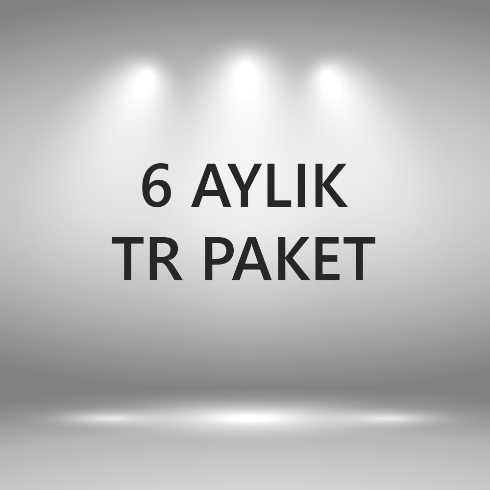 6 Aylık